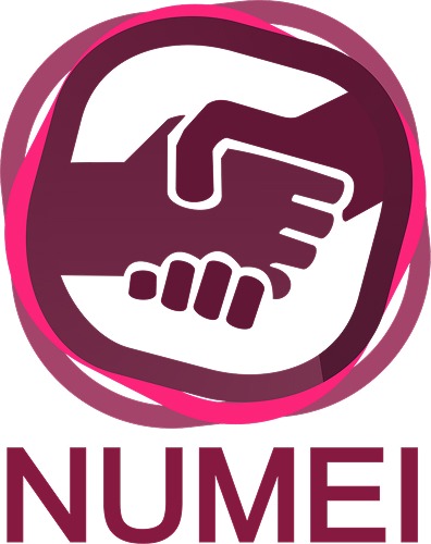 Núcleos 4 numei LOGO 1